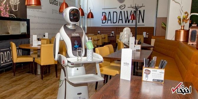 چگونه ربات ها ناجی رستوران های هلند شدند؟