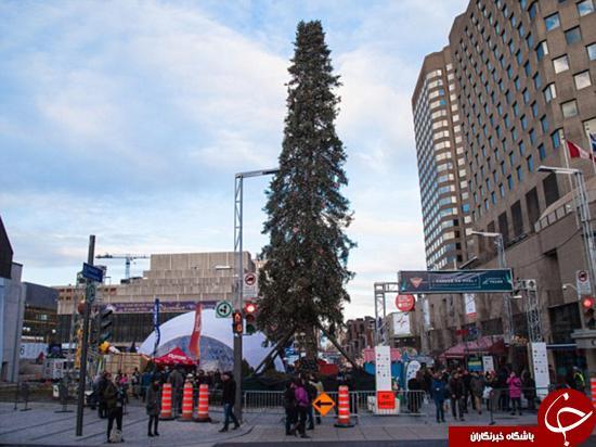 زشت ترین درخت کریسمس را ببینید